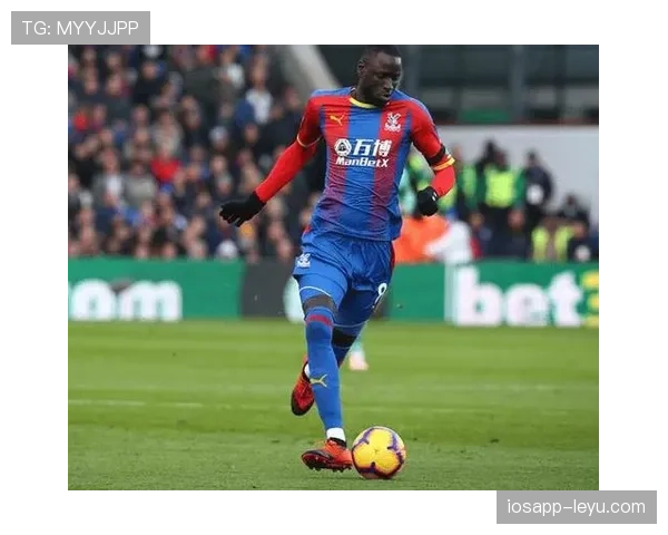 南安普顿关键球员状态回暖,球队剑指联赛连胜 南安普顿关键球员状态回暖,球队剑指联赛连胜