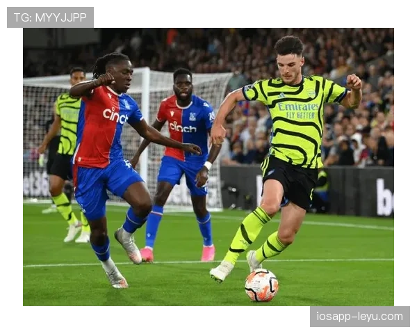 赖斯最佳位置分析